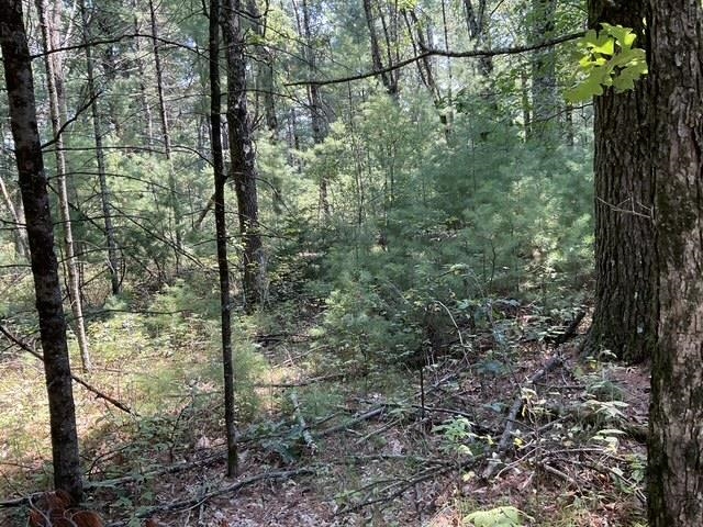 Land in Monroe 3