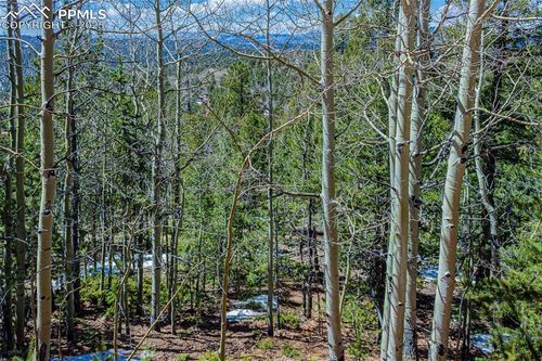 336 Witherite Dr, Divide, CO, 80814-7756 | Card Image