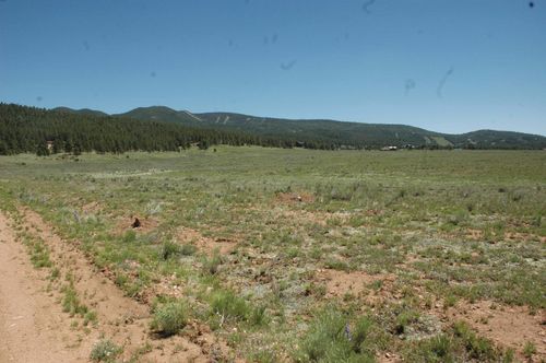 Lot 178 Cam Grande, Eagle Nest, NM, 87718 | Card Image