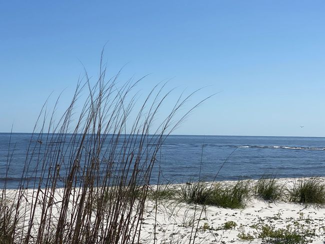 641 Bald Point Rd, House other with 3 bedrooms, 3 bathrooms and null parking in Alligator Point FL | Image 40