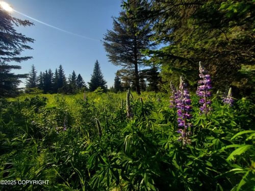 17509 Chefornak St, Ninilchik, AK, 99639 | Card Image