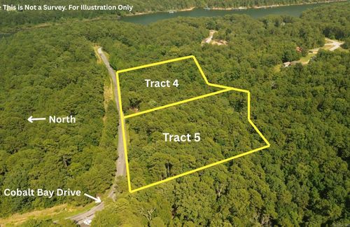 TBD Tract 3 Cobalt Bay, Shirley, AR, 72153 | Card Image