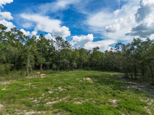 TBD Ne 82nd Pl, Bronson, FL, 32621 | Card Image