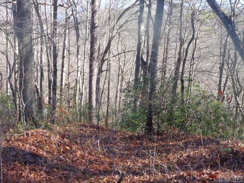 Lot 20 Vail Pass Road, Whittier, NC, 28789 | Card Image