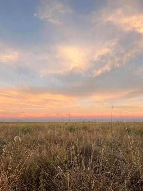 0 Boston Road, Whitharral, TX, 79380 | Card Image