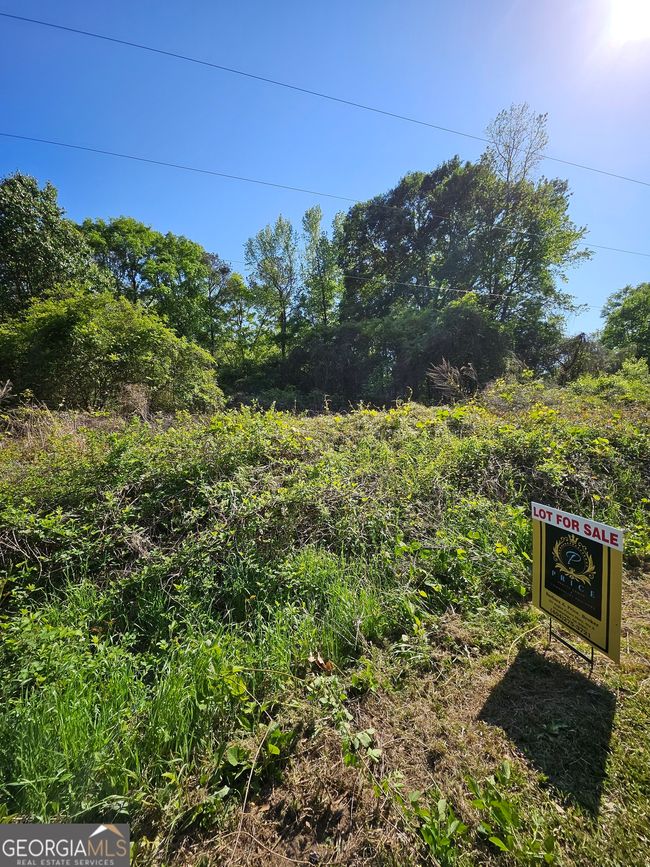 0 Dixie Hwy, Home with 0 bedrooms, 0 bathrooms and null parking in Rutledge GA | Image 8