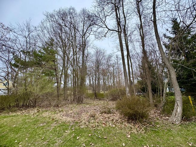 125 W Shorewood Dr, Home with 0 bedrooms, 0 bathrooms and null parking in Douglas MI | Image 14