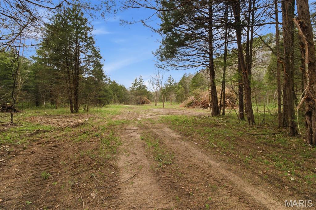 Land in Licking 2