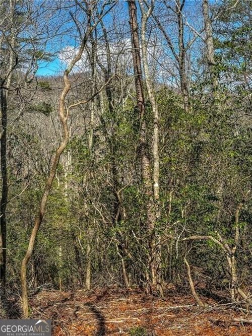 0 Ts Jarrard Rd, Dahlonega, GA, 30533 | Card Image