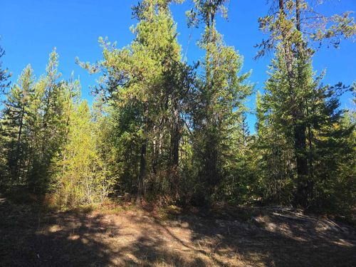 XXX Red Tail Way, Colville, WA, 99114 | Card Image