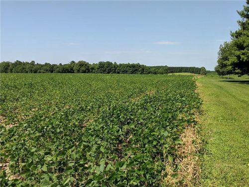 40 acres County Rd B West, TRUE, WI, 52526 | Card Image
