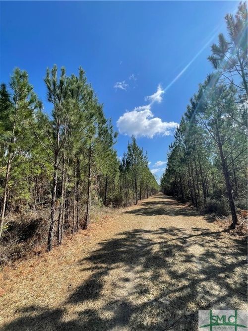 0 Union Church Road, Newington, GA, 30446 | Card Image