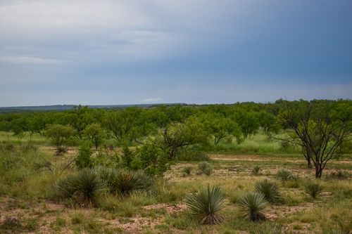 40 E. Fm 765, Brady, TX, 76825 | Card Image