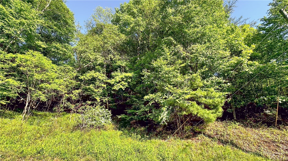 Land in Jefferson 4