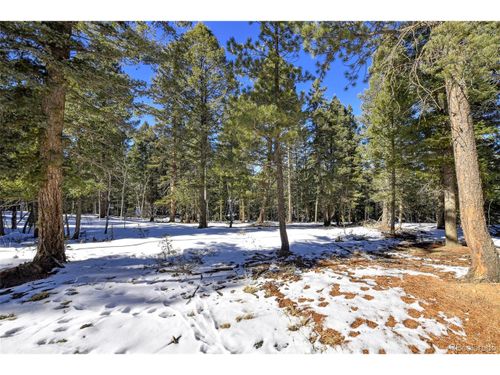 810 Ridge Rd, Divide, CO, 80814-9607 | Card Image
