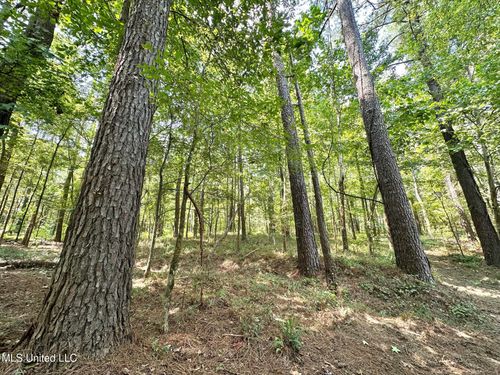 1 Champion Hill Rd, Bolton, MS, 39041 | Card Image