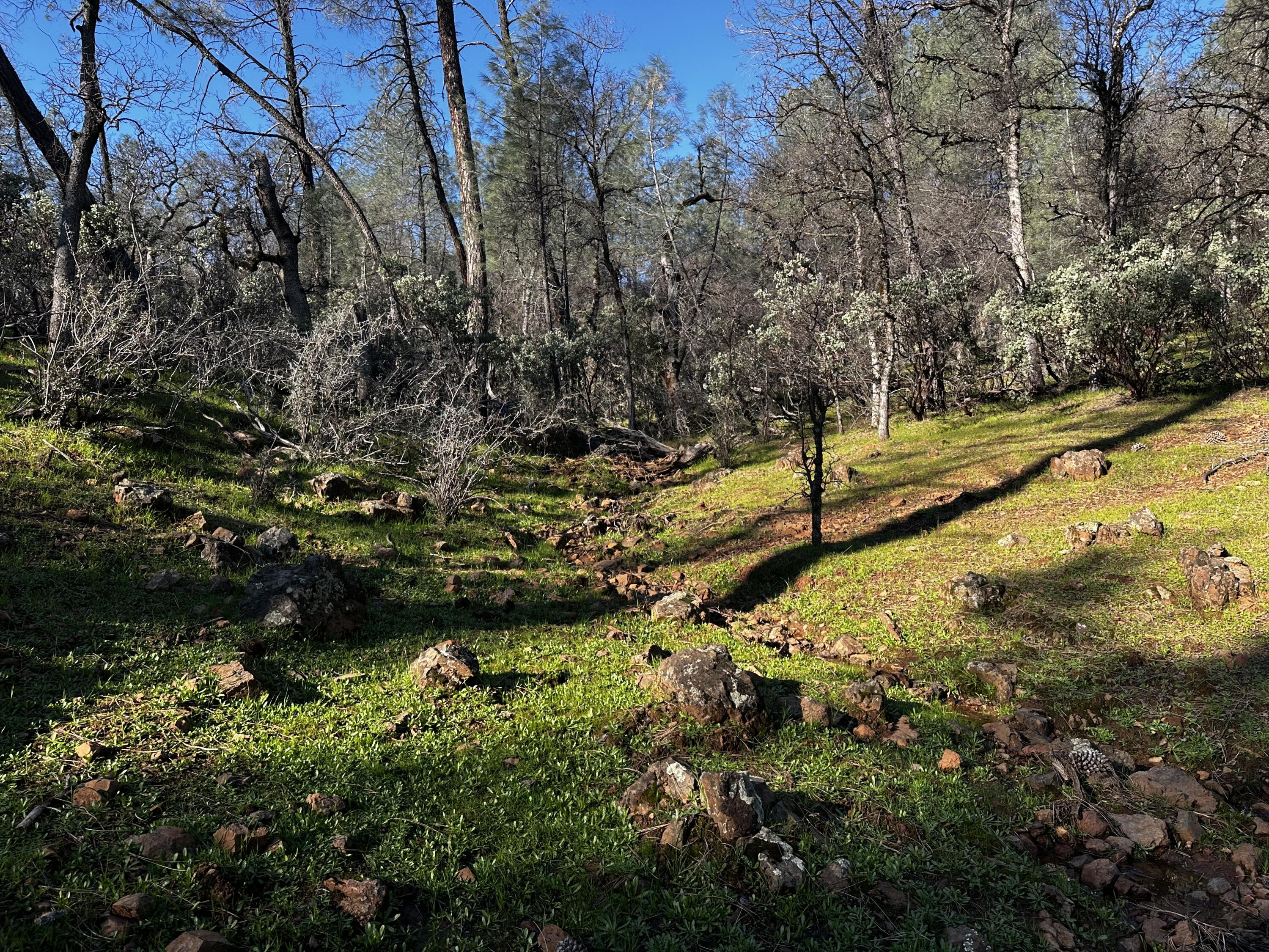 Land in Bella Vista 2