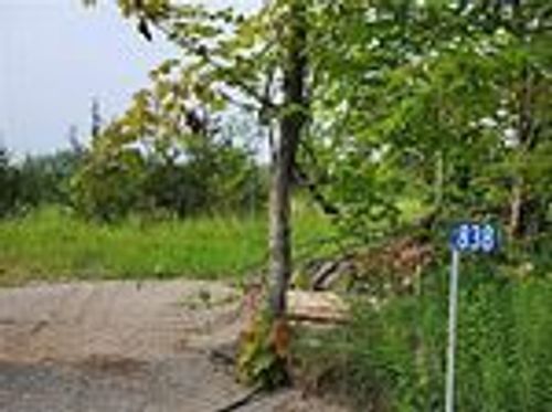 838 Harold Rd, Stirling, ON, K0K3E0 | Card Image