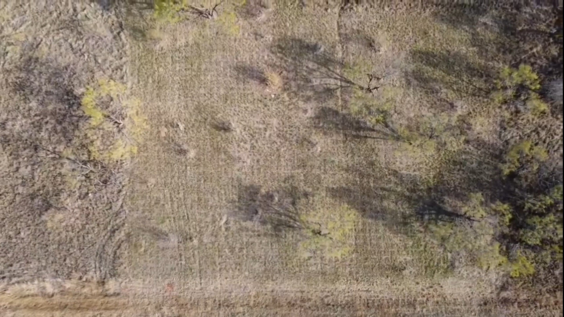 Land in Brownwood 4