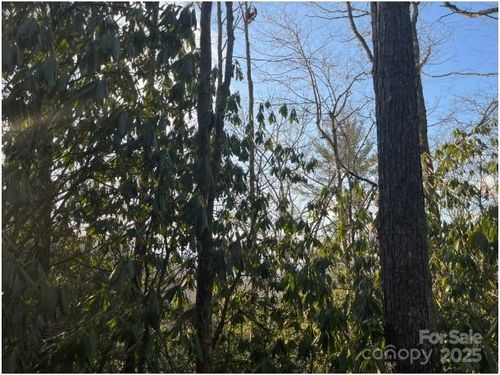 31a-00 Rules Run Rd, Clyde, NC, 28721 | Card Image