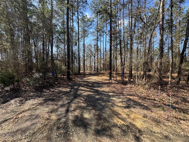 000 Old Farm Market 705 S, House other with 2 bedrooms, 2 bathrooms and 3 parking in Broaddus TX | Image 24