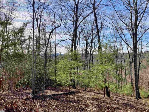 435 Augusta Links Trl, Travelers Rest, SC, 29690-7105 | Card Image