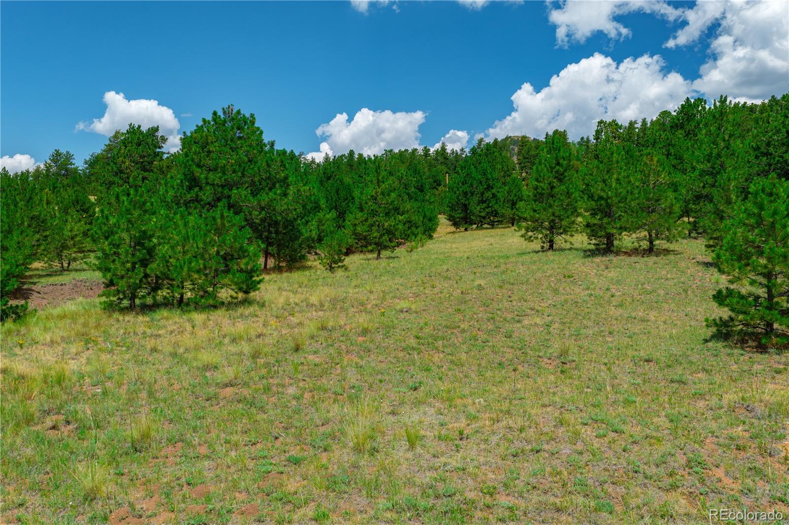 Land in Cripple Creek 3