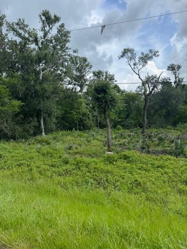 0 N Columbia Dr, Home with 0 bedrooms, 0 bathrooms and null parking in West Columbia TX | Image 4