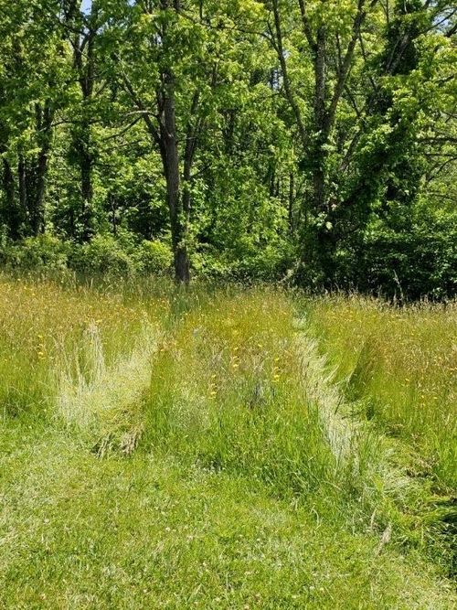 0 Red Oak Ridge Rd, Bluefield, WV, 24701 | Card Image