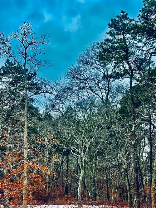 2 Old Farms Trl, Edgartown, MA, 02539-6619 | Card Image