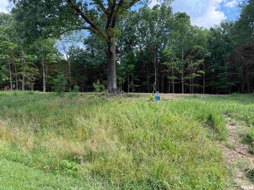 Lot 305 Pecan Point Lane, Goreville, IL, 62939 | Card Image