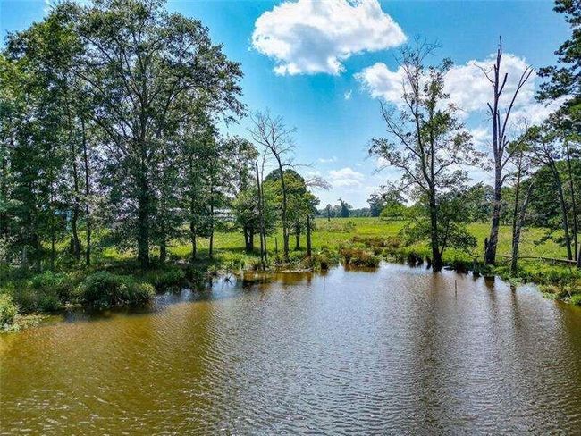 204 George Rd Sw, Home with 0 bedrooms, 0 bathrooms and null parking in Cave Spring GA | Image 32