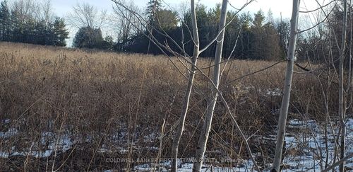 7500 Springhill Rd, Metcalfe, ON, K0A2P0 | Card Image
