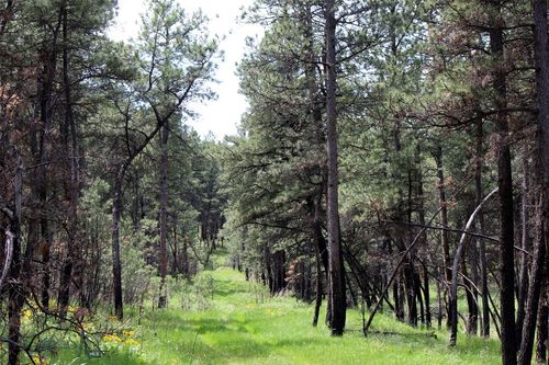eh-13-nhn Deer Lane, Roundup, MT, 59072 | Card Image