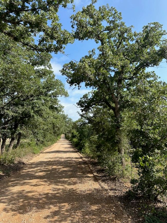 View of dirt / gravel road | Image 6