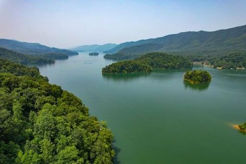14 Diamond Point Dr, Butler, TN, 37640 | Card Image