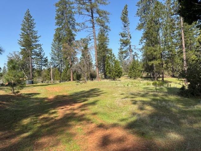 19292 Shawnee Trl, Home with 0 bedrooms, 0 bathrooms and null parking in Mokelumne Hill CA | Image 66