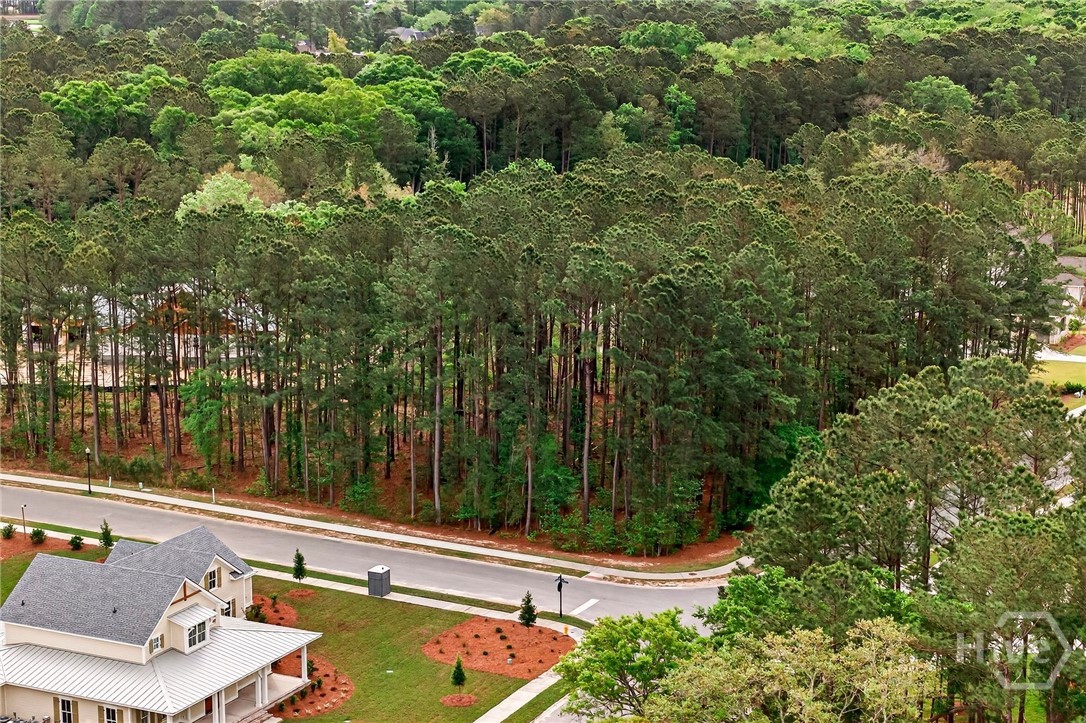 Land in Pooler 4