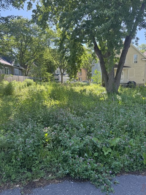 2915 Colfax Ave N, Minneapolis, MN, 55411-1460 | Card Image