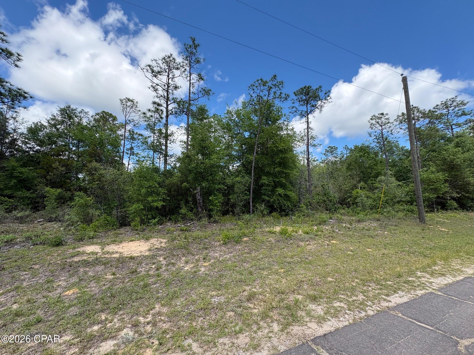 Land in Chipley 3