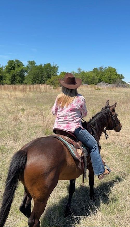 tract-5-6665 Cr 132, Stephenville, TX, 76401 | Card Image