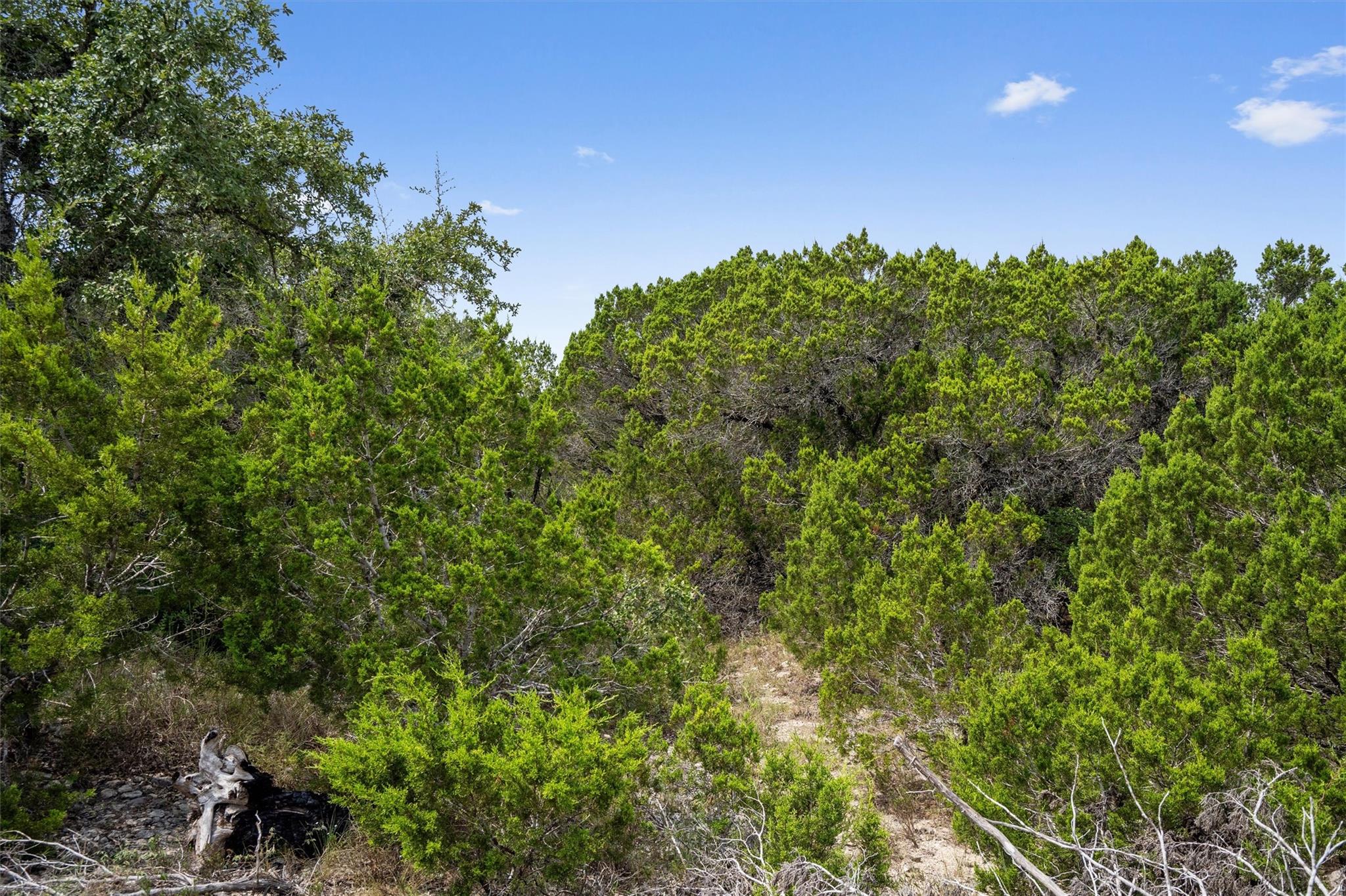 Land in Austin 5