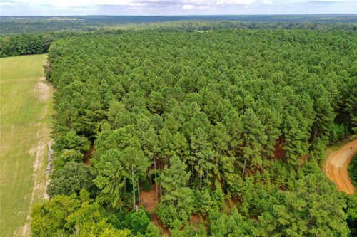 TBD County Road 1735, Grapeland, TX, 75844 | Card Image