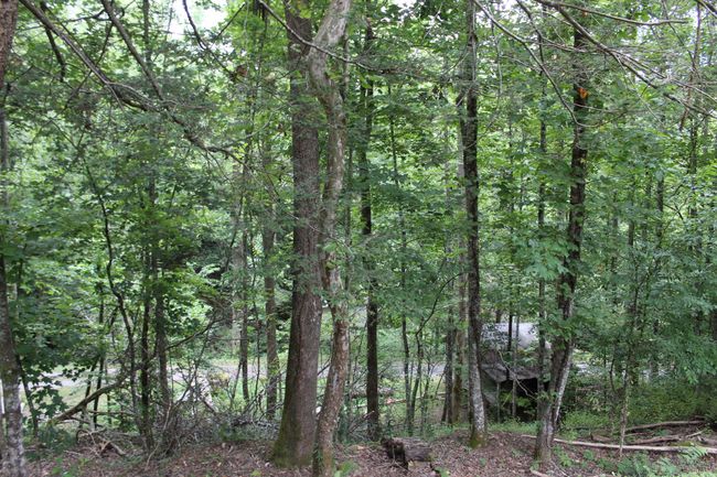 6133 Highway 92, House other with 4 bedrooms, 3 bathrooms and null parking in Ingram KY | Image 48