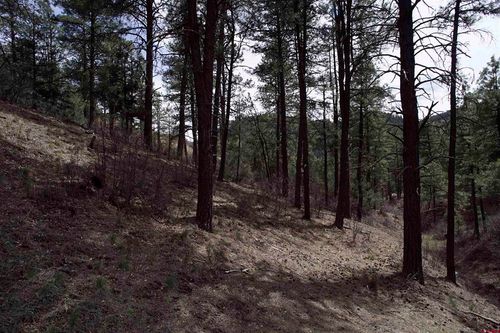 91 Hideaway Ct, Pagosa Springs, CO, 81147 | Card Image