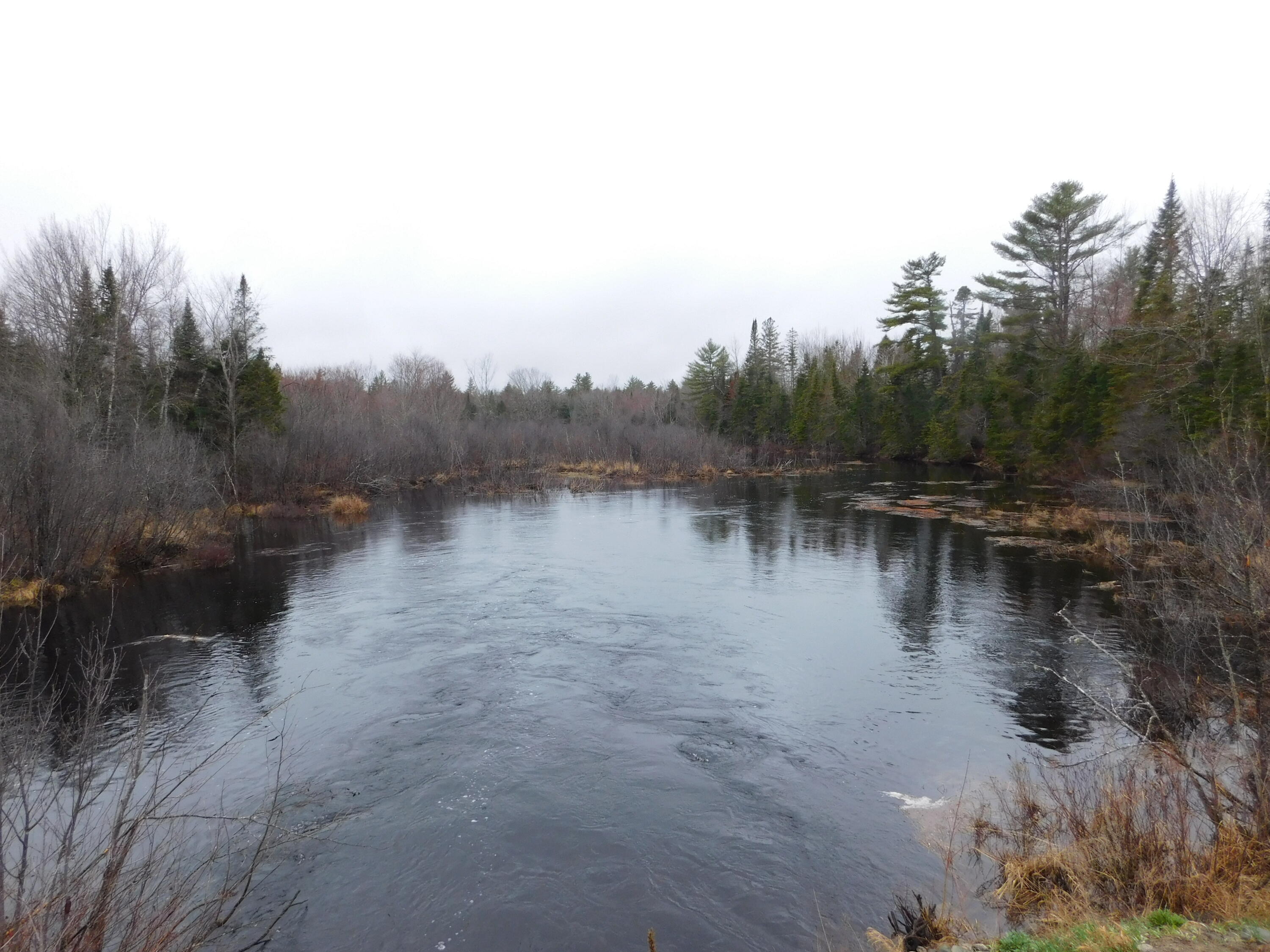 Land in Greenbush 4
