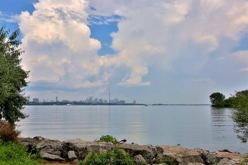 435-80 Marine Parade Dr, Etobicoke, ON, M8V0A3 | Card Image