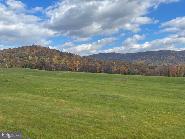 63 Buck Mountain Rd, House other with 4 bedrooms, 4 bathrooms and null parking in BENTONVILLE VA | Image 27
