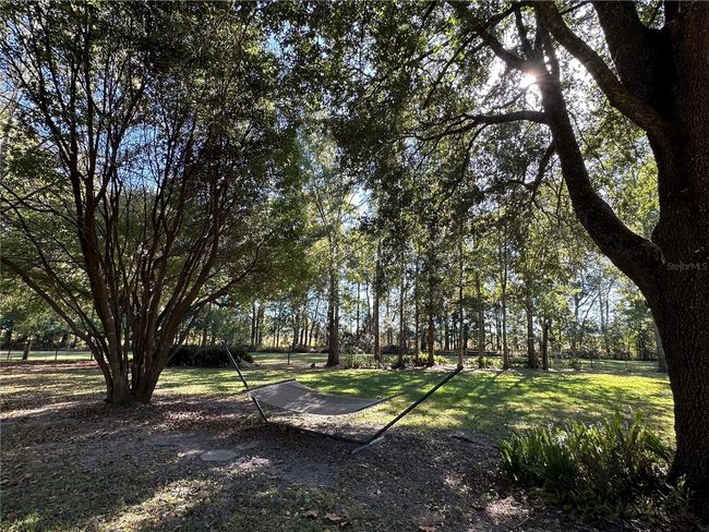 ENJOYING ACRES OF TRANQUILITYRelax on the Hammock | Image 53