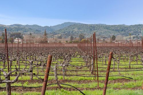 1076 Orchard Ave, Napa, CA, 94558-9403 | Card Image